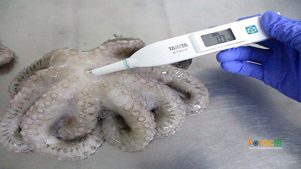 Seafood Inspection 2